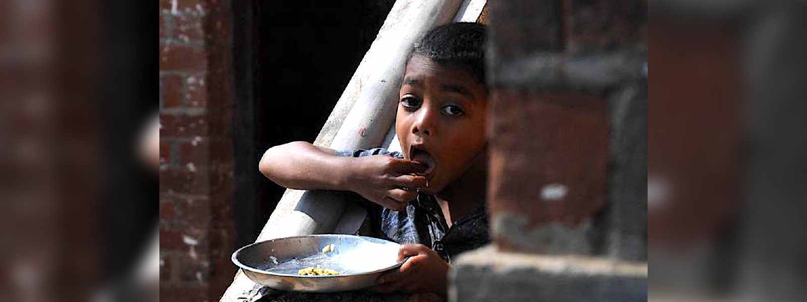 பெருந்தோட்டங்களில் அதிக உணவு பாதுகாப்பின்மை வீதம்